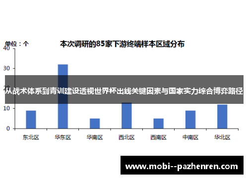 从战术体系到青训建设透视世界杯出线关键因素与国家实力综合博弈路径