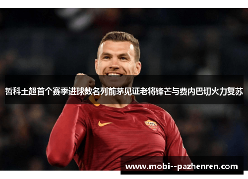 哲科土超首个赛季进球数名列前茅见证老将锋芒与费内巴切火力复苏 哲科土超首个赛季进球数名列前茅见证老将锋芒与费内巴切火力复苏